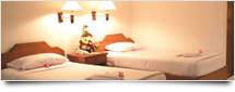 Hotel Search